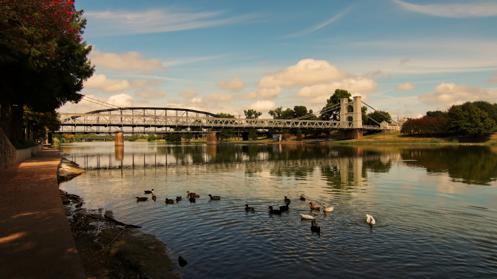 Brazos County