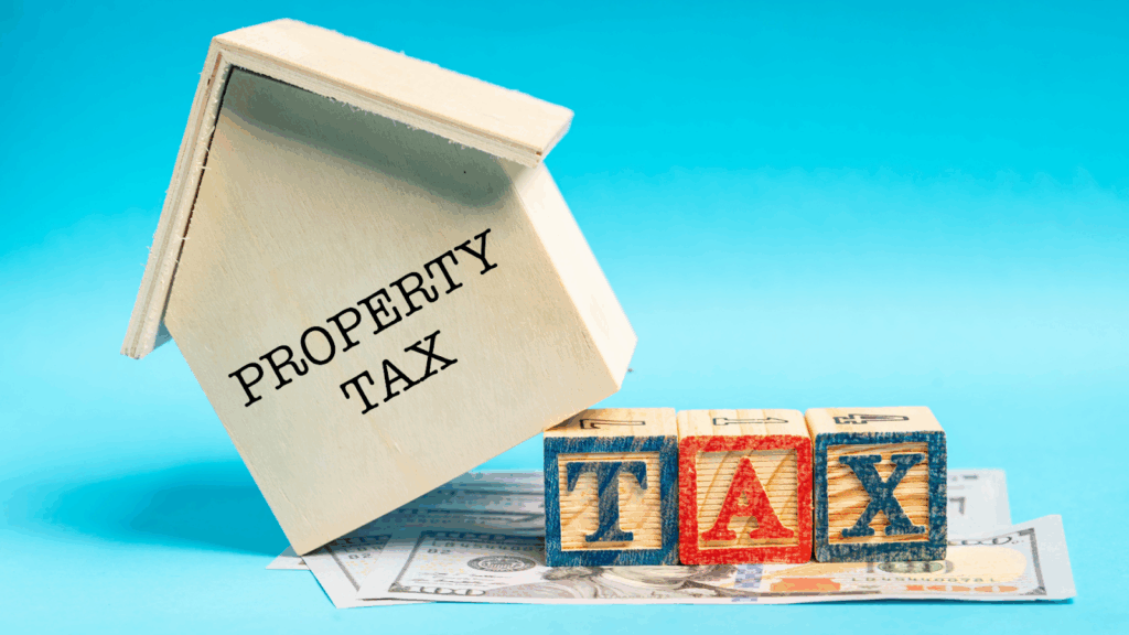 Icon Property Tax Assistance