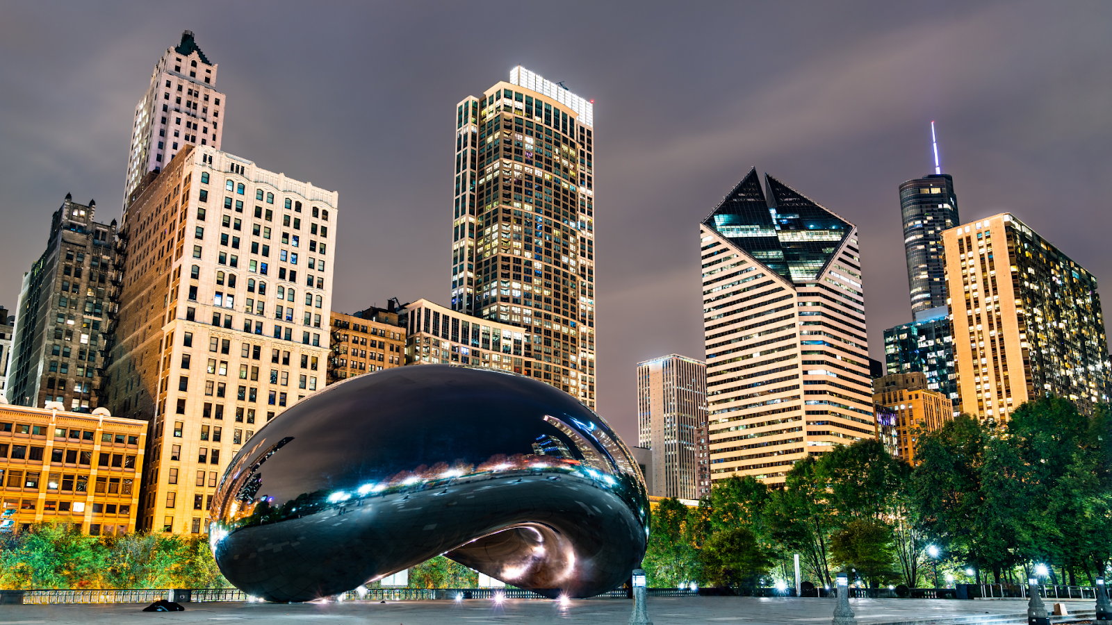 Explore The City of Chicago Property Tax With Icon